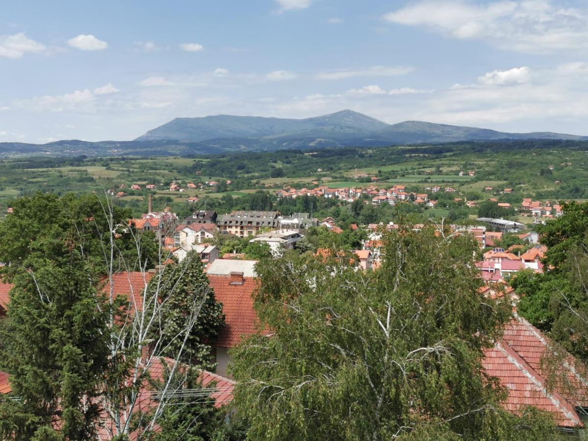 Vila Breza Соко Баня Екстериор снимка