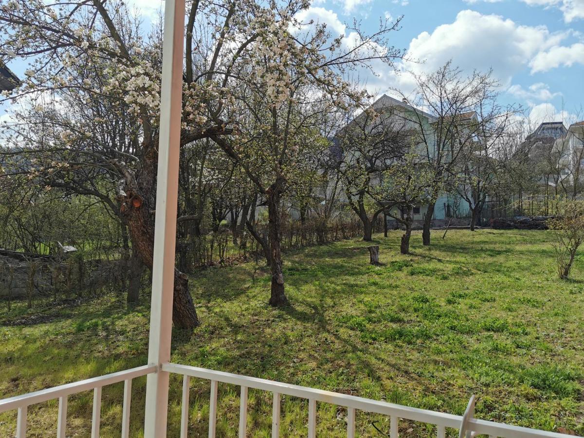 Vila Breza Соко Баня Екстериор снимка