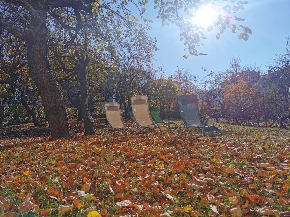 Vila Breza Соко Баня Екстериор снимка