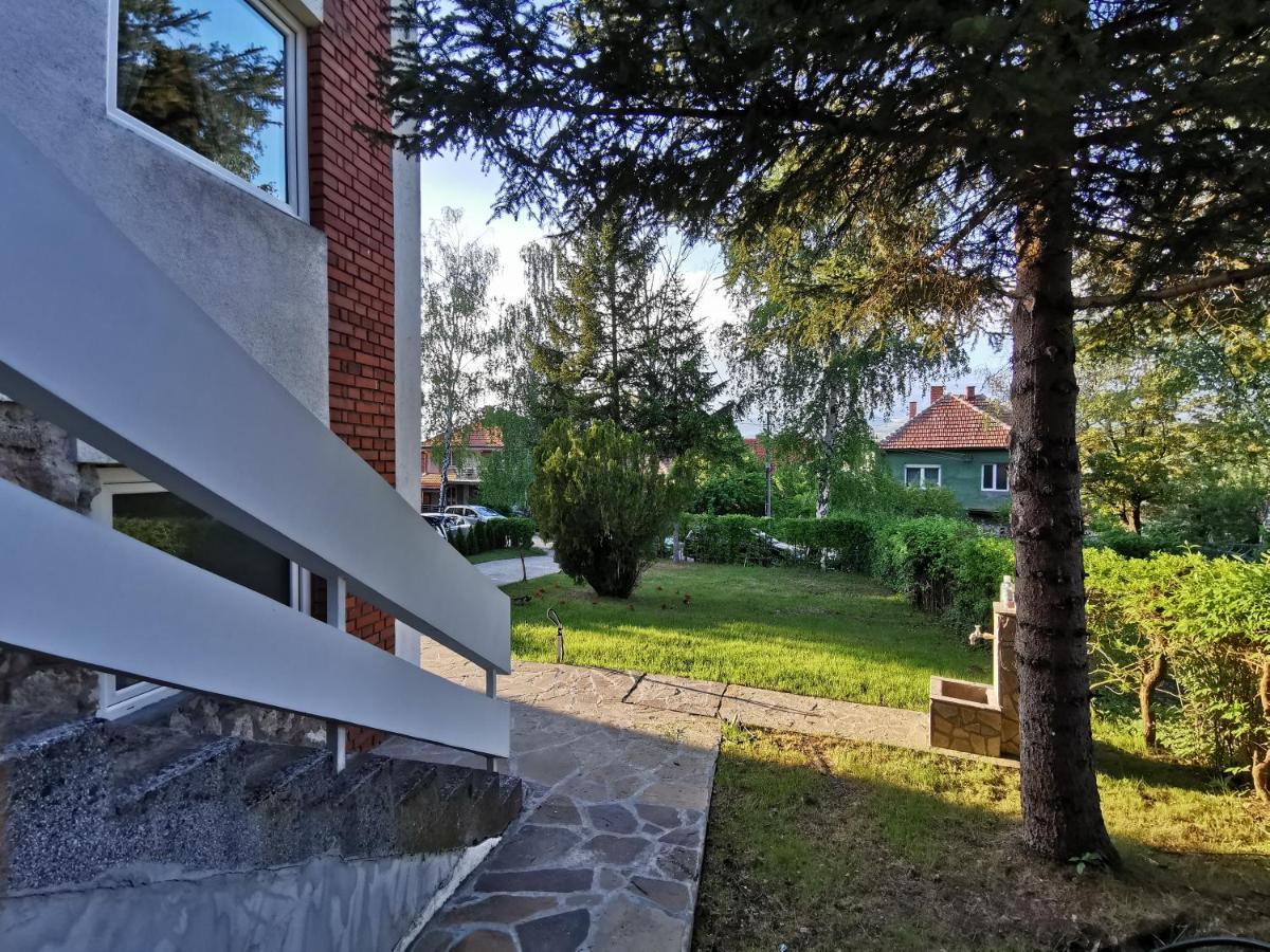 Vila Breza Соко Баня Екстериор снимка