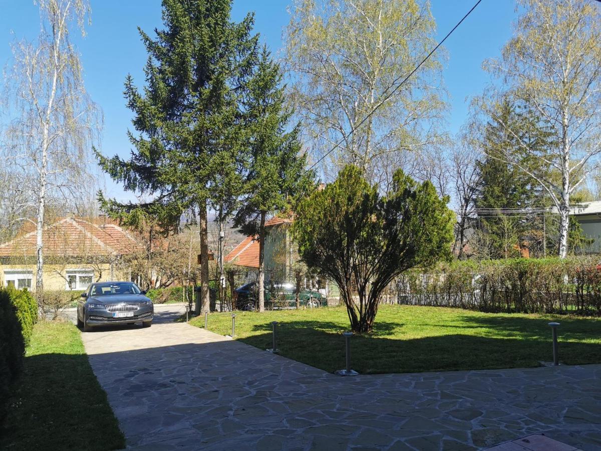 Vila Breza Соко Баня Екстериор снимка