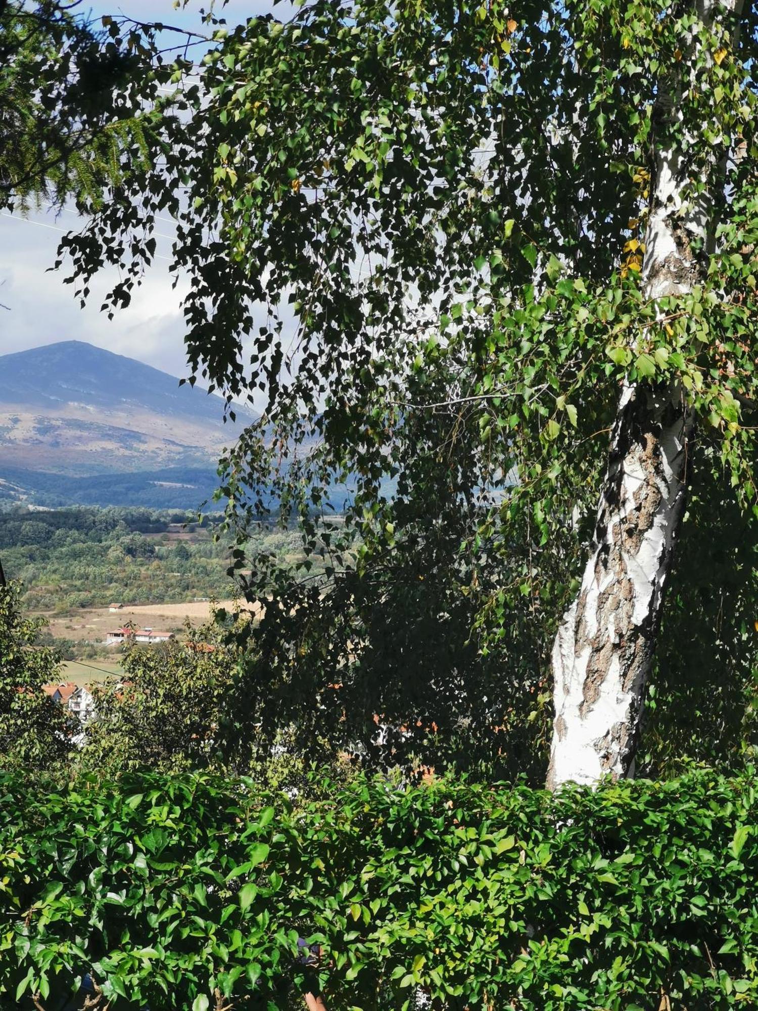Vila Breza Соко Баня Стая снимка